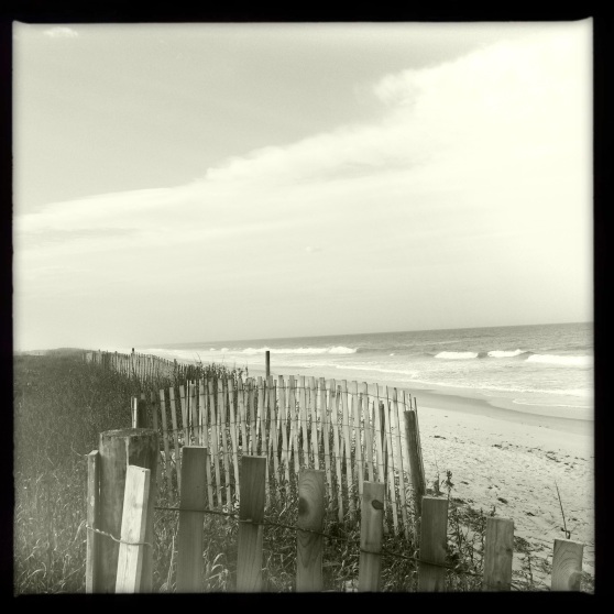 Playalinda Beach - Weathered Fence